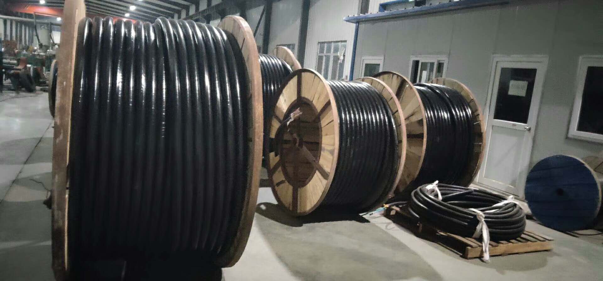 山東陽谷華東特種電纜有限公司