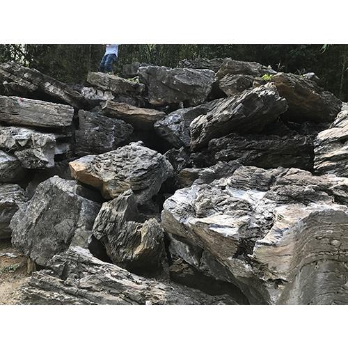 崇左英石假山價(jià)格 開順石場