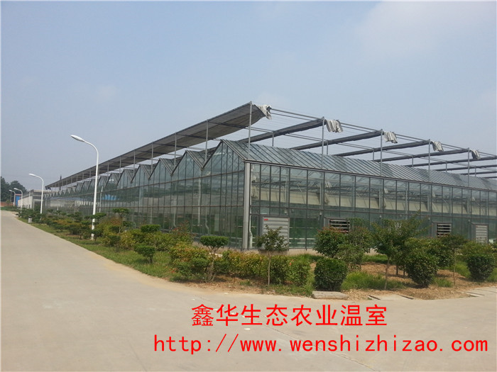 玻璃溫室大棚用于 苗木種植溫室 養殖大棚建造