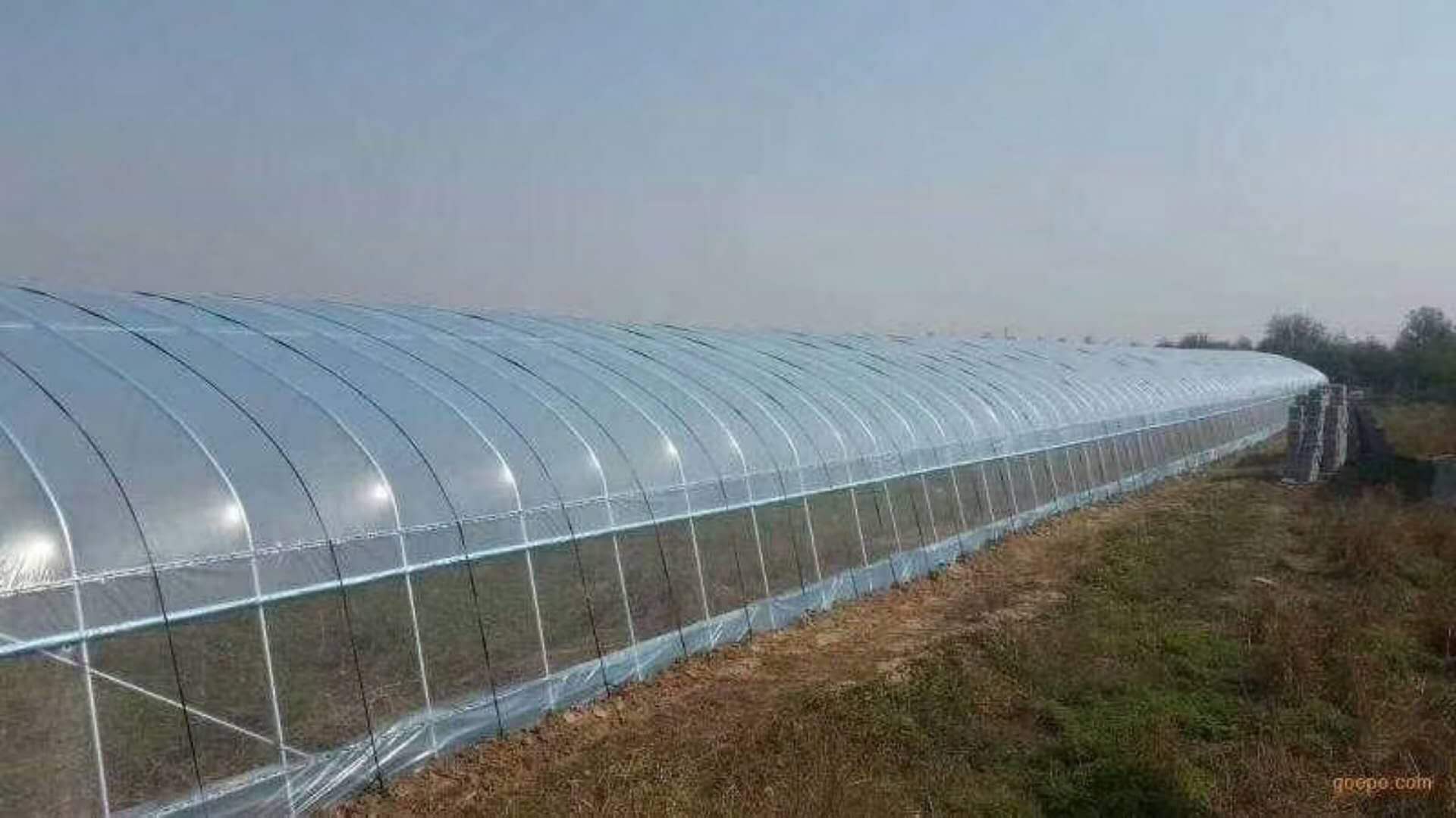 溫室工程-新野溫室配件供應信譽好的建設大棚
