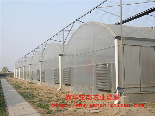 薄膜溫室大棚建造 連棟薄膜溫室大棚報價 農業溫室大棚安裝