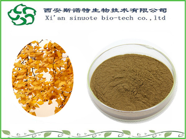 銀杏葉提取物 20：1 廠家** 實力廠家 全國包郵 國圣生物