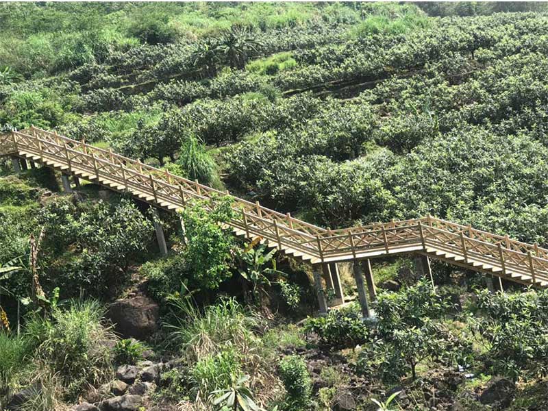 福建木棧道|供應優良的木棧道