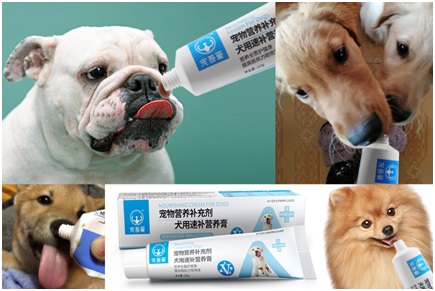 寵吾愛犬用速補營養膏    120g/支