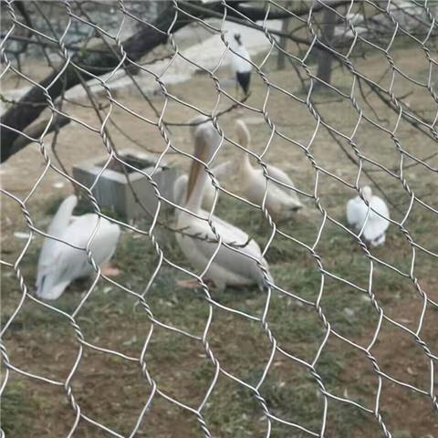 南平箱形鉛絲籠廠家 步鑫絲網