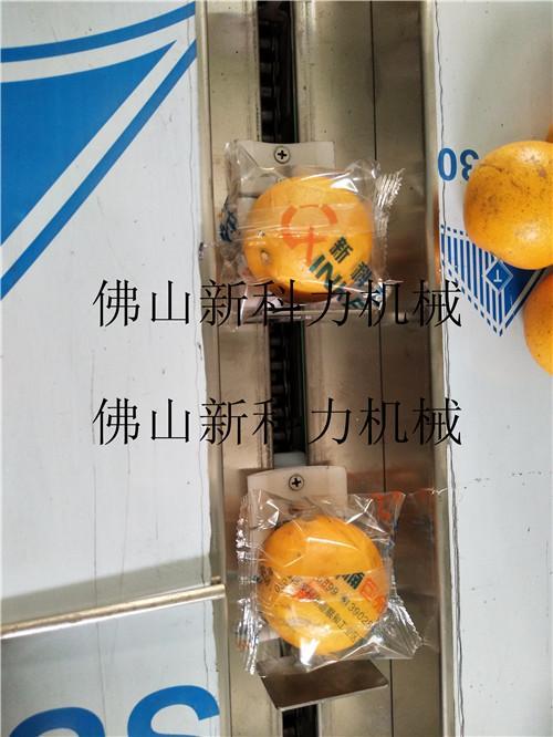 南昌現貨冰糖橙包裝機