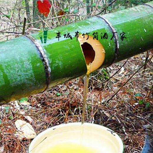 竹筒酒厂家*河南河北山东鲜竹酒供应商竹酿酒批发代理价格