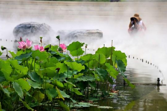 四川冷雾喷雾系统设备