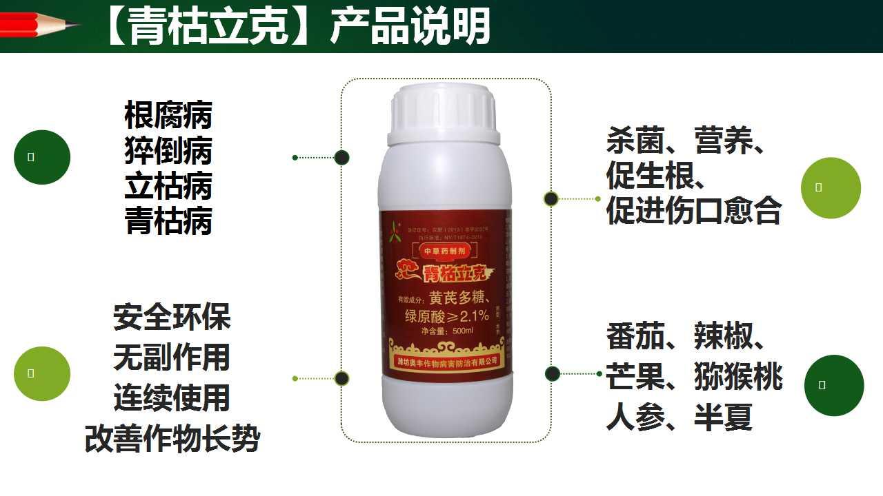 萬畝中藥材基地種植預防三七根腐病**藥青枯立克