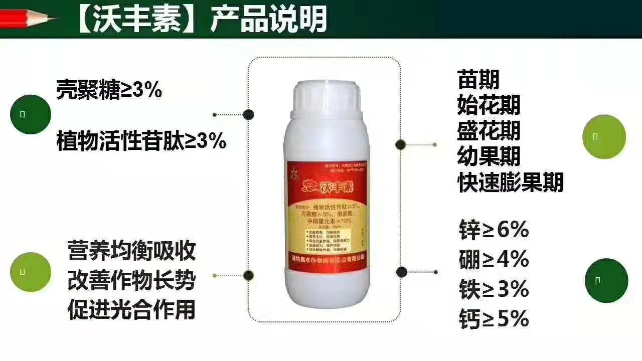萬畝基地人參根腐病