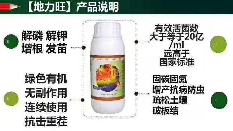 云南防治三七根腐病的办法和用药