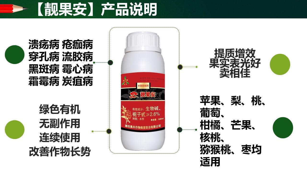 廣西**芒果細菌性角斑病*藥