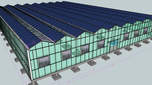 太阳能光伏温室大棚出租