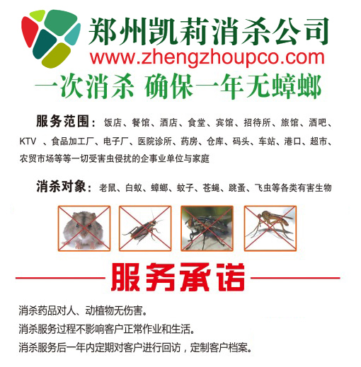 鄭州滅鼠公司，鄭州家庭滅鼠公司，鄭州工廠滅鼠公司收費標準
