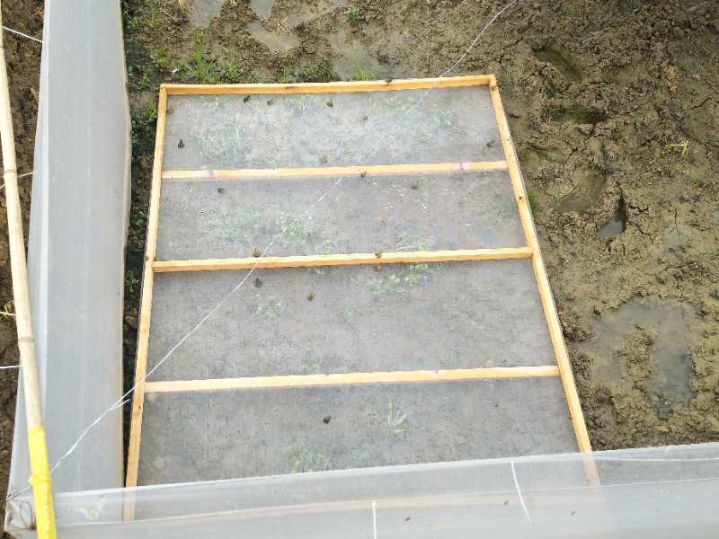 四川動物飼料|**久龍飼料**