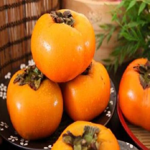 甘肅特產(chǎn)隴南甜柿價格