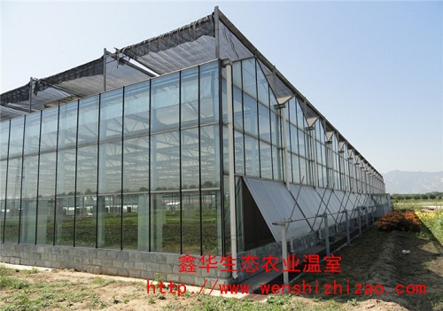 智能連棟玻璃溫室 玻璃溫室大棚材料 玻璃溫室大棚建設的標準要求