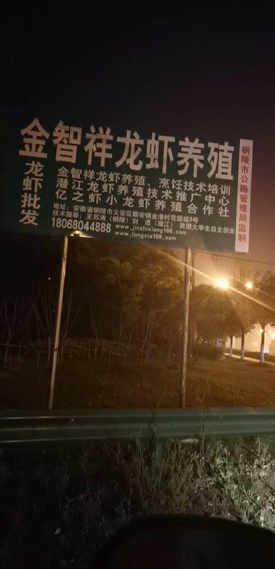 亳州小龍蝦出售 金智祥萬畝清水小龍蝦