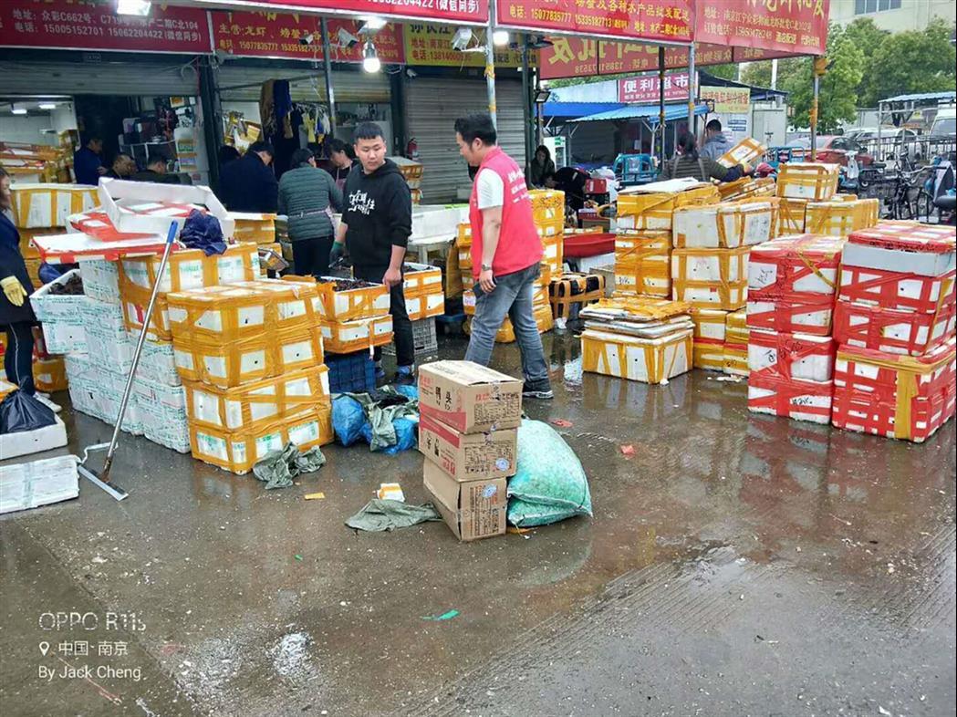 小龍蝦回收 金智祥萬畝清水小龍蝦