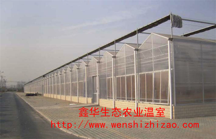 陽光板溫室大棚建設 觀光生態園 智能陽光板花卉大棚 設計安裝