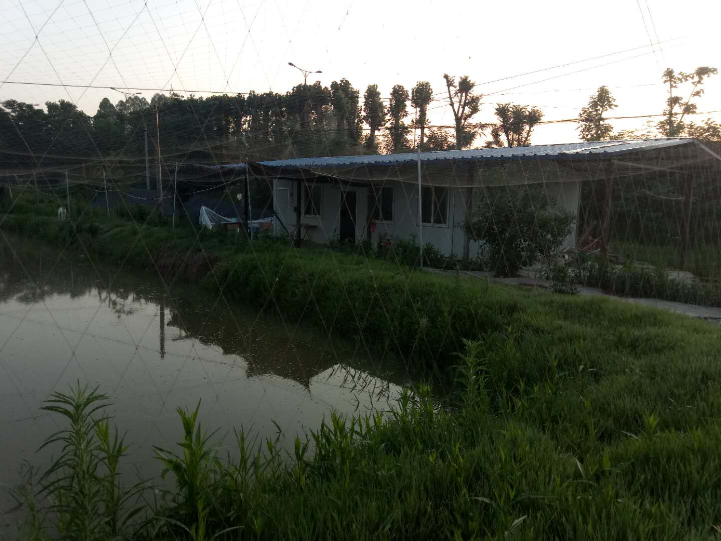 四川飼料批發(fā)-優(yōu)惠的久龍飼料成都市久龍飼料供應(yīng)