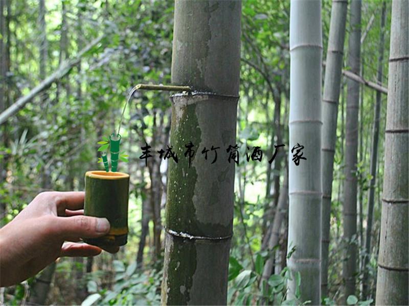 竹酒客家竹筒酒原生態(tài)竹子酒活竹鮮竹酒生態(tài)白酒青竹酒45度