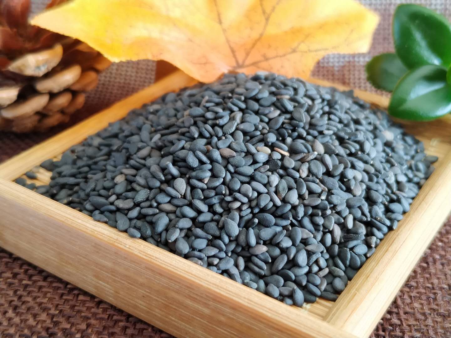 怎么才能買到真的黑芝麻 長春芝麻廠告訴您