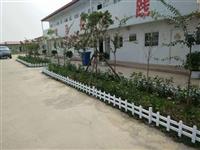 pvc塑料圍墻護欄 遼寧鐵嶺昌圖防護圍欄網