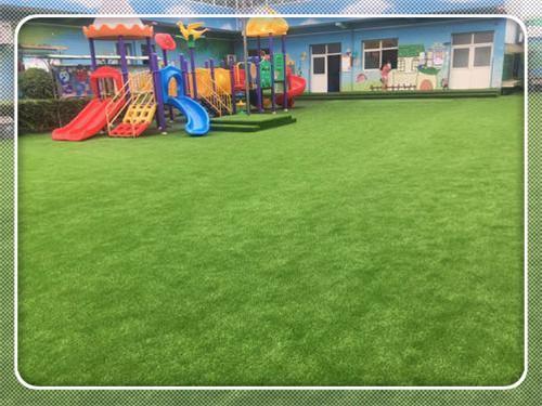 寧波幼兒園草坪廠 博野太行