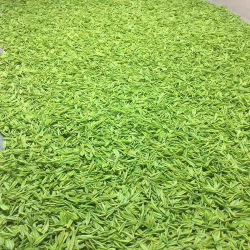 精品綠茶銷售