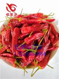 **福建辣椒王 產(chǎn)地**耐煮香辣 
