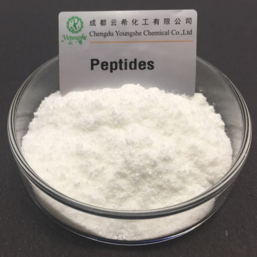 銅肽/三肽-1銅/藍銅勝肽 Copper Peptide 49557-75-7