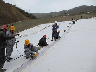 河北复合土工膜生产 欢迎来电咨询