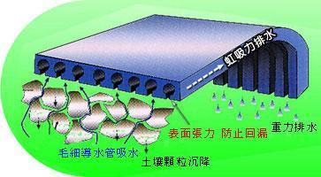 江西PVC毛细式排水板厂家