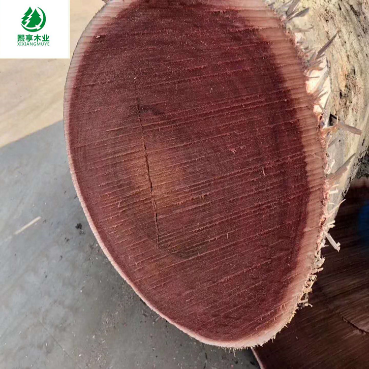 江蘇紅梢木供應商