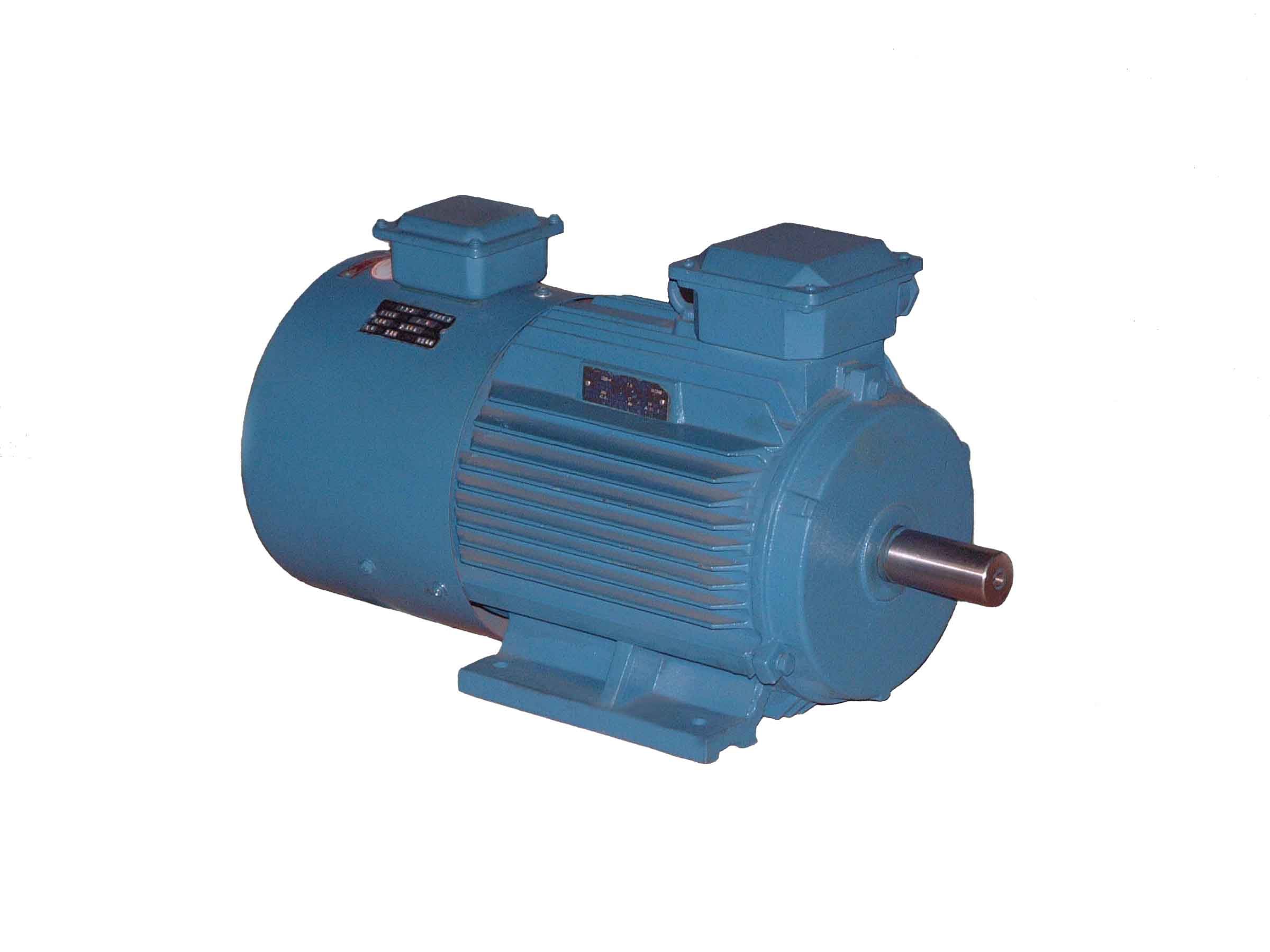 達(dá)州起重變頻調(diào)速電機型號