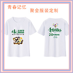 同學聚會T恤定制畢業**衫10 20 30周年青春**文化衫
