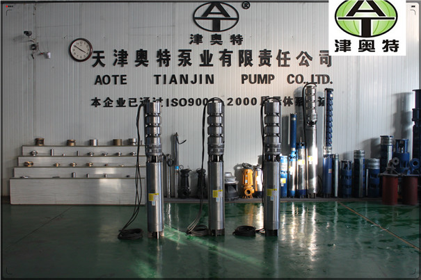 造船廠家排放水大流量不銹鋼潛水電泵
