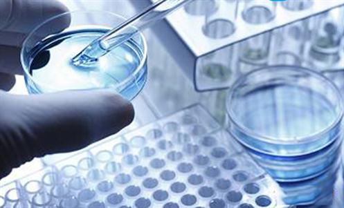 隱私親子鑒定哪家親子鑒定機構保密性好？