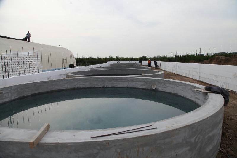 東莞新型墻體材料廠 海容模塊；EPS模塊；海容EPS模塊