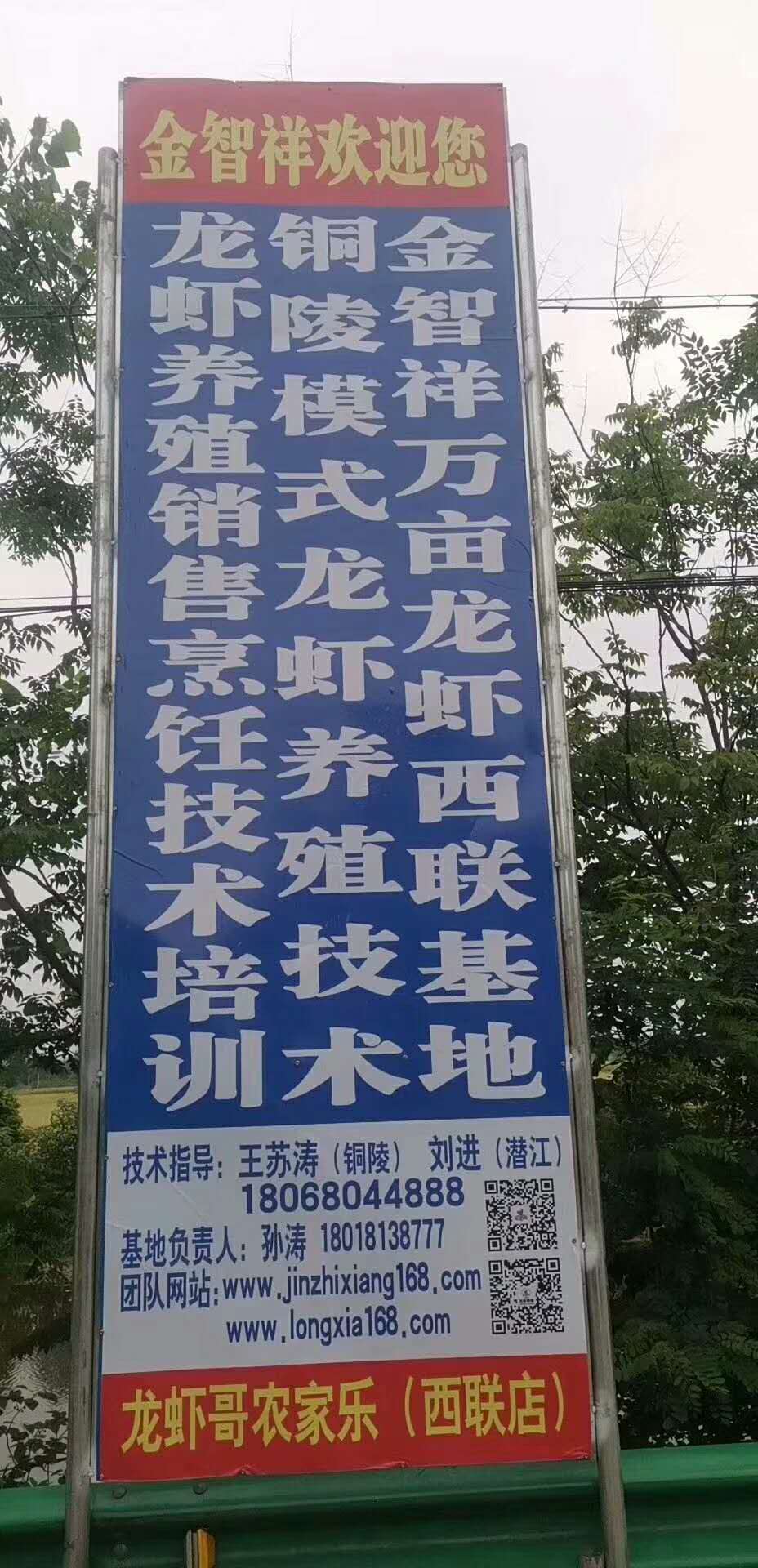 龍蝦養殖培訓 全國均可發貨 “金智祥”小龍蝦