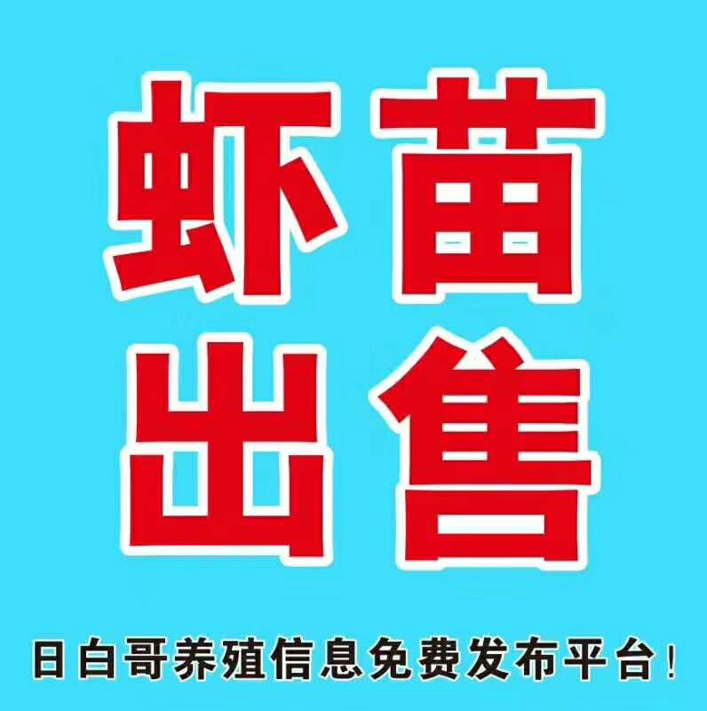 铁岭龙虾养殖培训价格