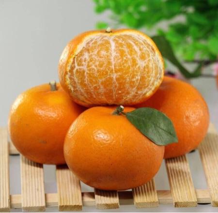 廣西無核沃柑多少錢