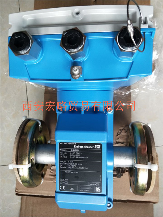E+H電磁流量計5L4C