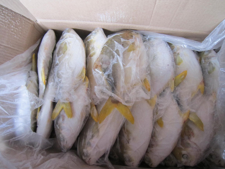 奧地利水產品如何清關 大龍蝦