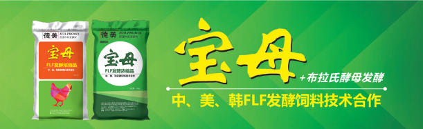 濟寧促進雞鴨鵝生長發(fā)育寶母批發(fā) 寶母