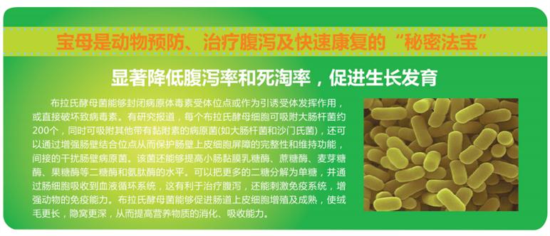 黃岡促進雞鴨鵝生長發育寶母價格 寶母 寶來利來