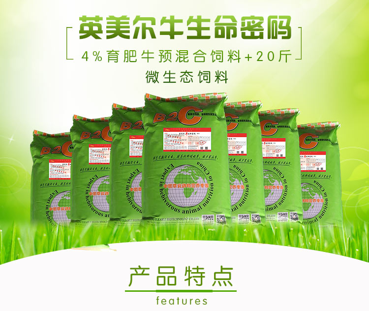 規模大的育肥牛養殖技術