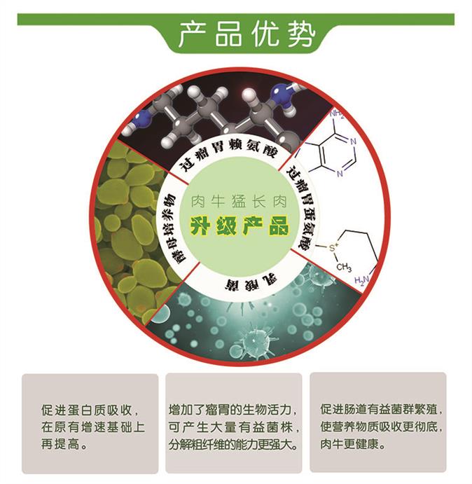 正規的牛吃什么飼料