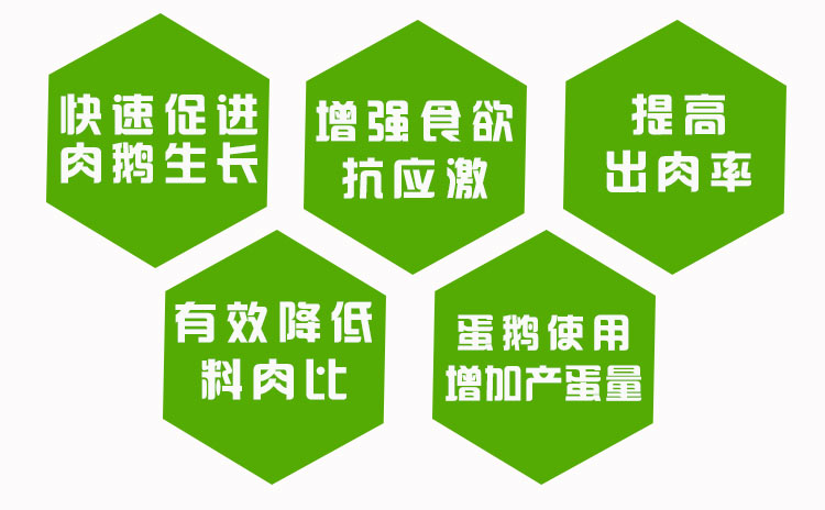 滄州市鵝飼料廠商 英美爾